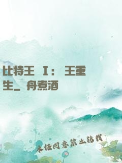 比特王國Ⅰ: 國王重生